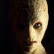Image for article titled Bollywood Snake Lady Captured From The Wild, Wants To Be Your Girlfriend